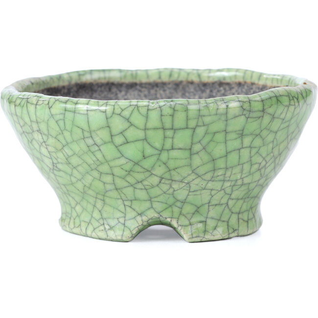Maceta de bonsái craquelé verde redonda de Bunzan - 117 x 117 x 54 mm
