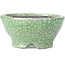 Pot à bonsaï rond craquelé vert par Bunzan - 117 x 117 x 54 mm