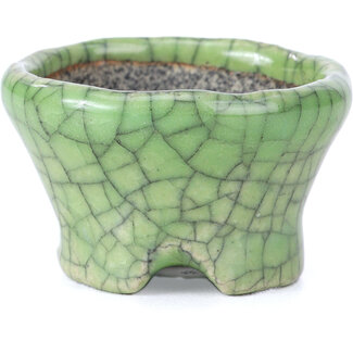 Bunzan Vaso per bonsai rotondo verde craquelé da 46 mm di Bunzan, Tokoname, Giappone