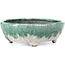 Oval white and green bonsai pot by Bunzan - 142 x 116 x 47 mm