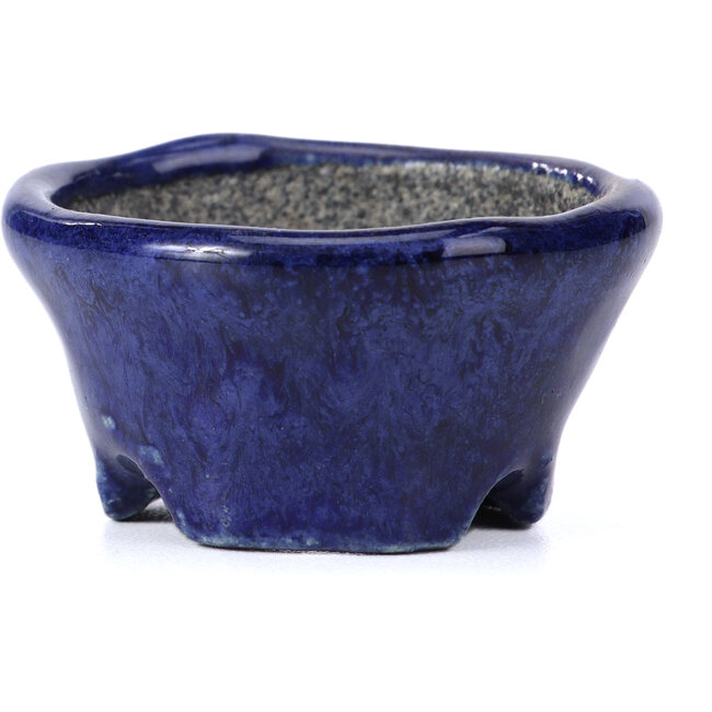 Round blue bonsai pot by Bunzan - 54 x 54 x 30 mm
