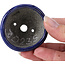 Maceta de bonsái redonda azul de Bunzan - 54 x 54 x 30 mm