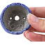 Pot à bonsaï rond bleu par Bunzan - 50 x 50 x 27 mm