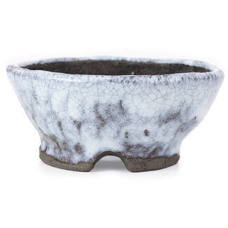  Bunzan 95 mm round white craquelé bonsai pot by Bunzan, Tokoname, Japan