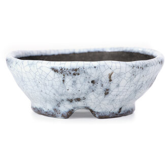  Bunzan 99 mm ronde witte craquelé bonsai pot van Bunzan, Tokoname, Japan