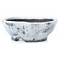 Round white craquelé bonsai pot by Bunzan - 99 x 99 x 36 mm