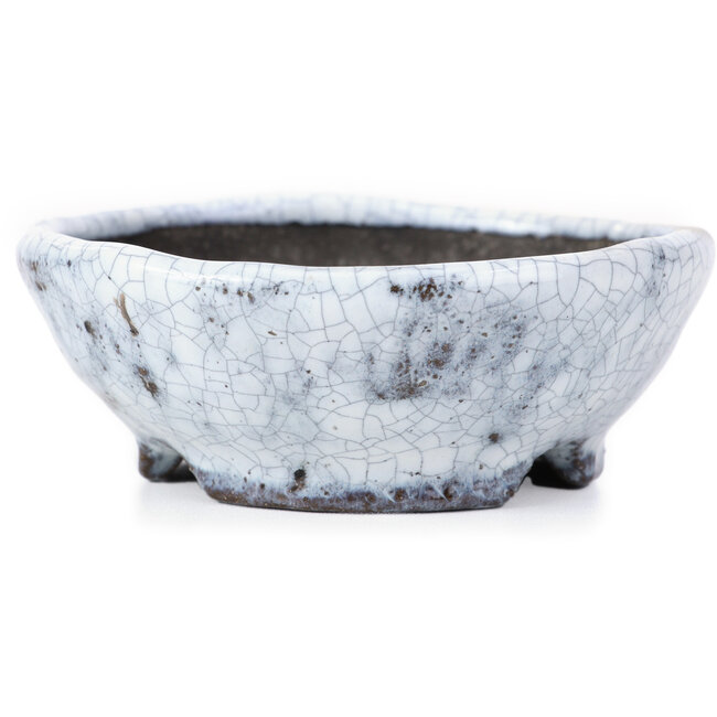 Maceta de bonsái redonda blanca craquelé de Bunzan - 99 x 99 x 36 mm