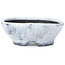 Round white craquelé bonsai pot by Bunzan - 99 x 99 x 36 mm