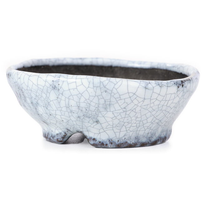Vaso per bonsai rotondo bianco craquelé di Bunzan - 99 x 99 x 36 mm