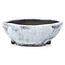 Round white craquelé bonsai pot by Bunzan - 99 x 99 x 36 mm