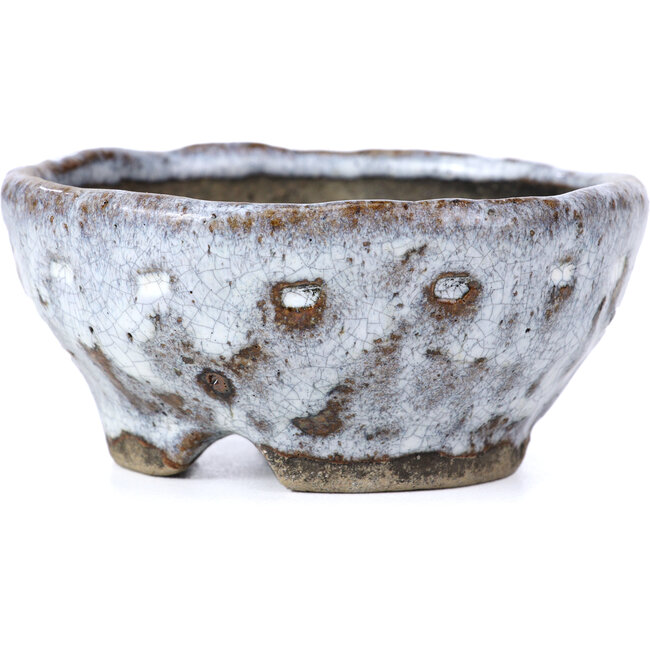 Vaso per bonsai rotondo bianco craquelé di Bunzan - 100 x 100 x 45 mm