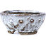 Pot à bonsaï rond craquelé blanc par Bunzan - 100 x 100 x 45 mm