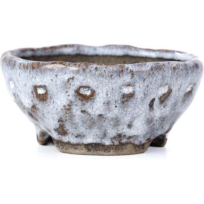 Vaso per bonsai rotondo bianco craquelé di Bunzan - 100 x 100 x 45 mm