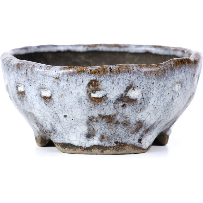 Vaso per bonsai rotondo bianco craquelé di Bunzan - 100 x 100 x 45 mm