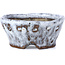 Pot à bonsaï rond craquelé blanc par Bunzan - 92 x 88 x 41 mm