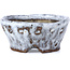 Round white craquelé bonsai pot by Bunzan - 92 x 88 x 41 mm