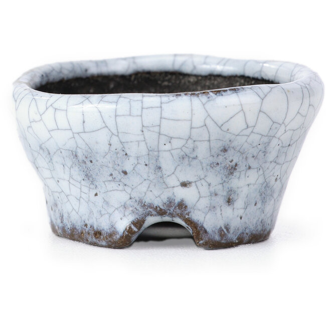 Ronde witte craquelé bonsai pot van Bunzan - 50 x 50 x 26 mm