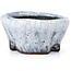 Pot à bonsaï rond craquelé blanc par Bunzan - 50 x 50 x 26 mm