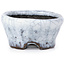 Pot à bonsaï rond craquelé blanc par Bunzan - 50 x 50 x 26 mm