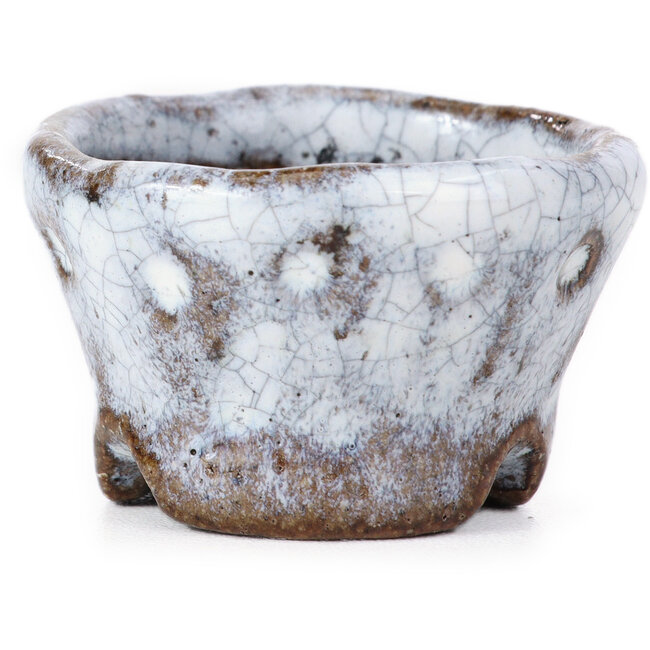 Vaso per bonsai rotondo bianco craquelé di Bunzan - 47 x 47 x 30 mm