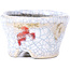 Pot à bonsaï rond craquelé blanc par Bunzan - 51 x 51 x 31 mm