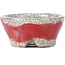 Maceta de bonsái redonda roja de Bunzan - 50 x 50 x 23 mm