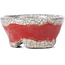 Maceta de bonsái redonda roja de Bunzan - 50 x 50 x 23 mm