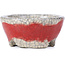Maceta de bonsái redonda roja de Bunzan - 50 x 50 x 23 mm