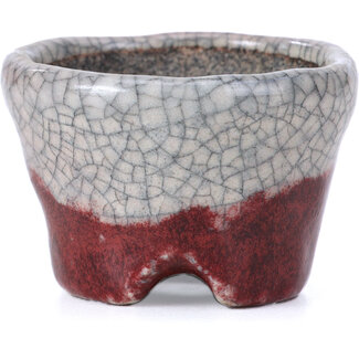  Bunzan Vaso per bonsai rosso rotondo da 51 mm di Bunzan, Tokoname, Giappone