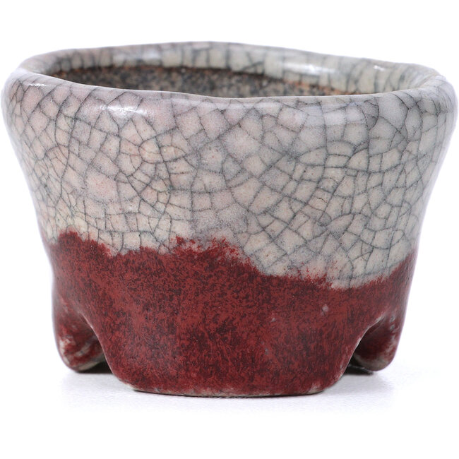 Vaso per bonsai rosso rotondo di Bunzan - 51 x 51 x 34 mm