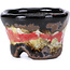 Pot à bonsaï rond multicolore craquelé par Bunzan - 50 x 50 x 31 mm