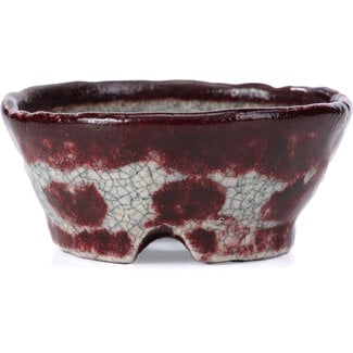  Bunzan 98 mm round white and red bonsai pot by Bunzan, Tokoname, Japan