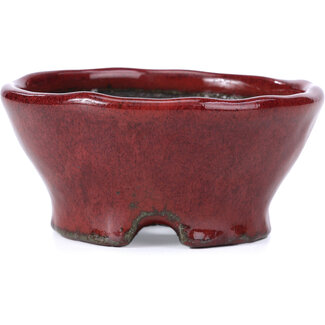  Bunzan 101 mm runde rote Bonsaischale von Bunzan, Tokoname, Japan