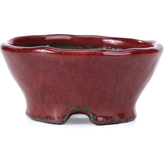  Bunzan Vaso per bonsai rosso rotondo da 101 mm di Bunzan, Tokoname, Giappone