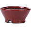 Round red bonsai pot by Bunzan - 101 x 101 x 47 mm