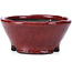 Round red bonsai pot by Bunzan - 101 x 101 x 47 mm