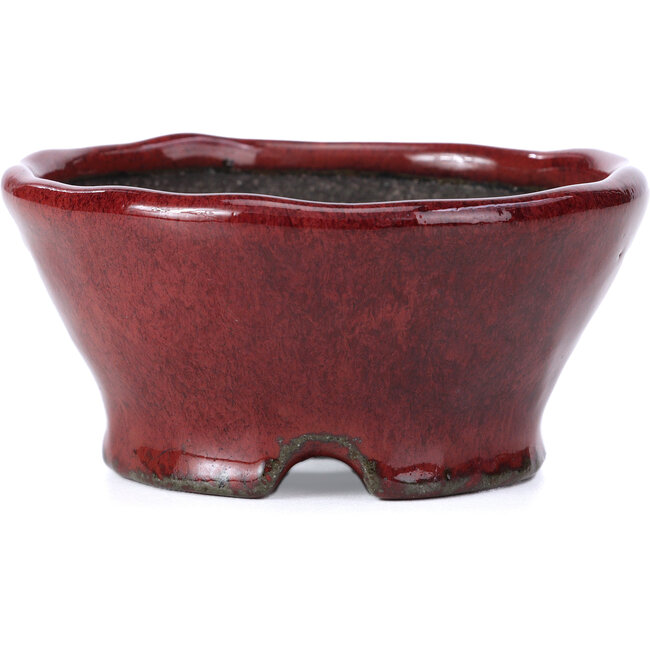Vaso per bonsai rosso rotondo di Bunzan - 101 x 101 x 47 mm