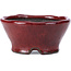 Round red bonsai pot by Bunzan - 101 x 101 x 47 mm