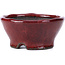 Round red bonsai pot by Bunzan - 101 x 101 x 47 mm