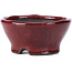 Vaso per bonsai rosso rotondo di Bunzan - 101 x 101 x 47 mm