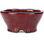 Round red bonsai pot by Bunzan - 101 x 101 x 47 mm