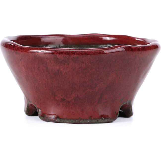 Maceta de bonsái redonda roja de Bunzan - 101 x 101 x 47 mm