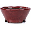 Vaso per bonsai rosso rotondo di Bunzan - 101 x 101 x 47 mm