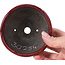 Ronde rode bonsaipot van Bunzan - 101 x 101 x 47 mm