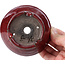 Pot à bonsaï rond rouge par Bunzan - 101 x 101 x 47 mm