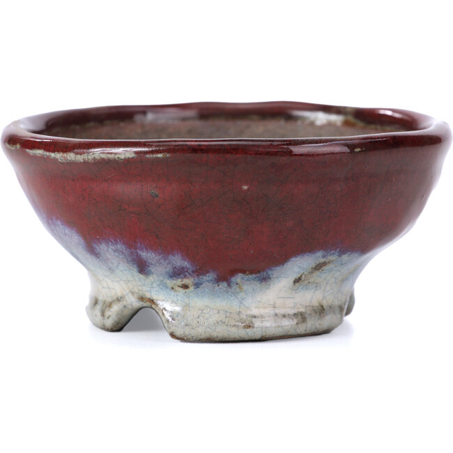 Maceta de bonsái roja redonda de Bunzan - 105 x 105 x 49 mm