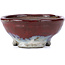 Ronde rode bonsaipot van Bunzan - 105 x 105 x 49 mm