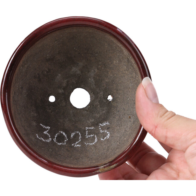 Runde rote Bonsaischale von Bunzan - 105 x 105 x 49 mm