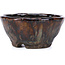 Round brown bonsai pot by Bunzan - 90 x 88 x 43 mm