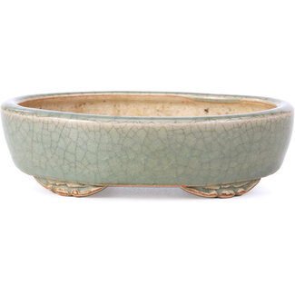  Eimei ( Yozan kiln) 140 mm ovale blaue Bonsaischale von Yozan, Tokoname, Japan